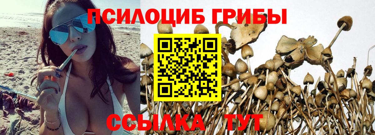 Псилоцибиновые грибы Cubensis  Вход с VPN  Галлюциногенные грибы GOLDEN TEACHER  Северск 