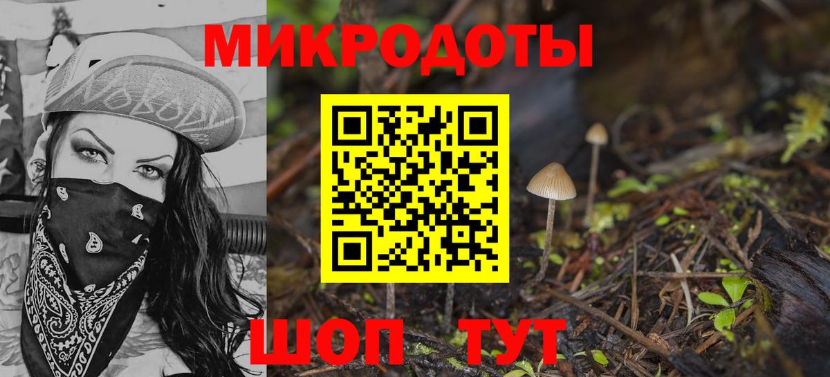 Галлюциногенные грибы GOLDEN TEACHER Северск
